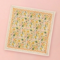 0c5c7a37861dabaadbff2732685afa8d-amaia-rosecorail-3 0c5c7a37861dabaadbff2732685afa8d-amaia-rosecorail-3