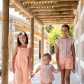 IMG-0482 IMG-0482