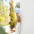 IMG-0835-2 IMG-0835-2