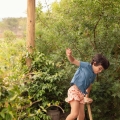 IMG-0929 IMG-0929