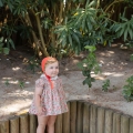 IMG-1124 IMG-1124