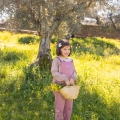 IMG-1247 IMG-1247
