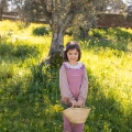 IMG-1260 IMG-1260