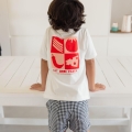 IMG-1339 IMG-1339