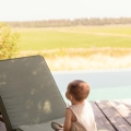 IMG-1494 IMG-1494