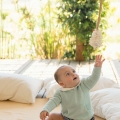 IMG-1562 IMG-1562