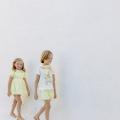 IMG-2493 IMG-2493