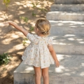 IMG-2736 IMG-2736