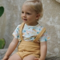 IMG-2762 IMG-2762