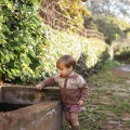 IMG-3052 IMG-3052