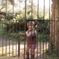 IMG-3062 IMG-3062