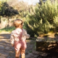 IMG-3085 IMG-3085