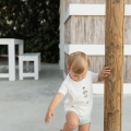 IMG-3531 IMG-3531
