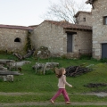 IMG-7040 IMG-7040