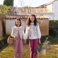 IMG-7650 IMG-7650