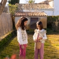IMG-7707 IMG-7707