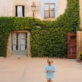 IMG-7920 IMG-7920