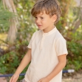 IMG-8450 IMG-8450
