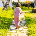 IMG-8567 IMG-8567