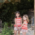 IMG-8920 IMG-8920