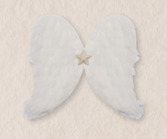 Alas de angelito Alas de angelito